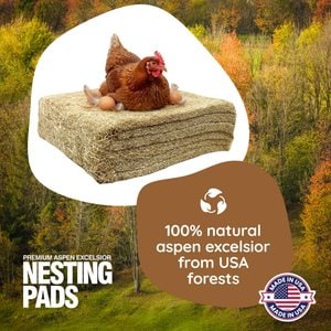 Hatching Time Premium Chicken Nesting Pads, 40 count