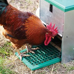Hatching Time Feedomatic Automatic Treadle Chicken Feeder, 17-lb slide 2 of 3