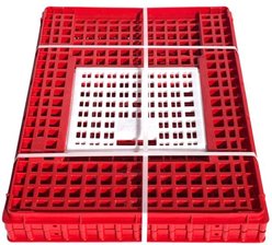 Hatching Time Deep Top Door Chicken Transport Coop slide 2 of 2