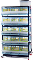 Hatching Time Comfortplast Jumbo Quail Cage, 5 Layer