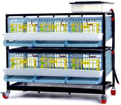 Hatching Time Comfortplast Traditional Quail Cage, 2 Layer