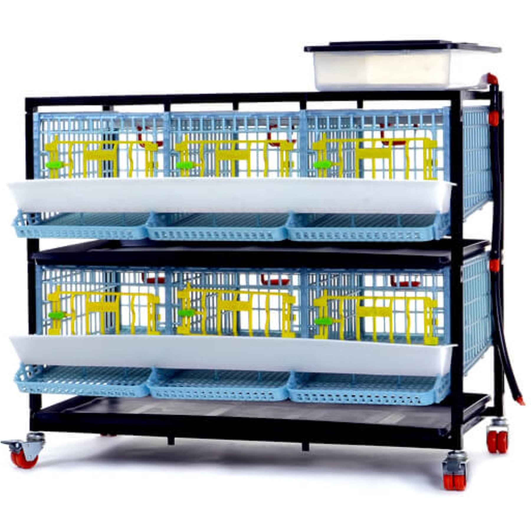 Hatching Time Comfortplast Jumbo Quail Cage, 2 Layer