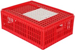 Hatching Time Top Door Chicken Transport Coop, Small