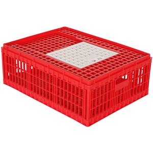 Hatching Time Top Door Chicken Transport Coop, Small
