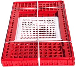 Hatching Time Top Door Chicken Transport Coop slide 2 of 2