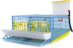 Hatching Time Comfortplast Traditional Quail Layer Cage, 2 Section