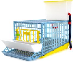 Hatching Time Comfortplast Traditional Quail Layer Cage, 1 Section