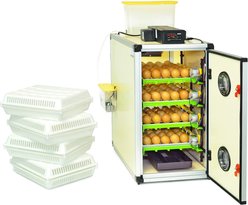 Hatching Time CT Series 120 Full Automatic Setter & Hatcher Combo Chicken Egg Incubator