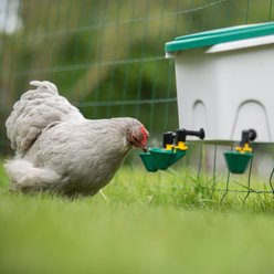 Hatching Time AviAqua Poultry Drinker Chicken Waterer, 2-gal slide 2 of 2