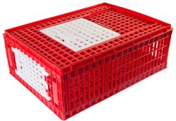 Hatching Time 2 Door Chicken Transport Coop, Small