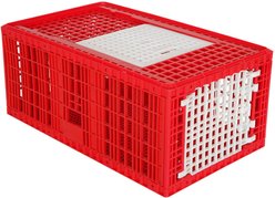 Hatching Time 2 Door Turkey Transport Coop
