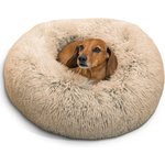 Best Beds for Chihuahuas