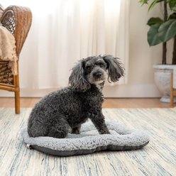 SportPet Designs Mini Waterproof Dog & Cat Bed, Grey