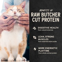Vital Essentials Minnows Single Ingredient Freeze-Dried Cat Treats, 1.5-oz bag slide 2 of 8