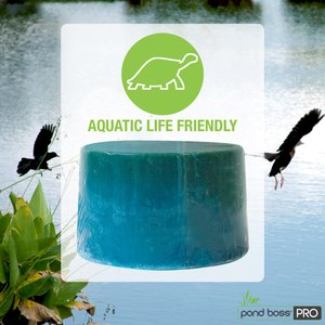 Pond Boss The Block Water Care, 5-lb block