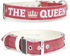 myfamily Royal Dog Collar, Red, X-Small: 9 to 10-in neck, 3/5-in wide