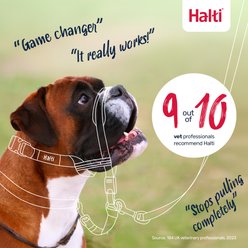 Halti OptiFit Nylon Padded No Pull Dog Headcollar, Large: 19 to 25-in neck slide 2 of 6