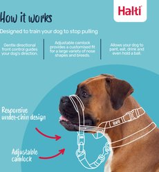 Halti OptiFit Nylon Padded No Pull Dog Headcollar, Small: 9.5 to 15.5-in neck slide 2 of 6
