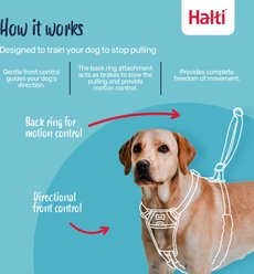 Halti Nylon Padded No Pull Dog Headcollar, Size 4: 18 to 24.5-in neck slide 2 of 9