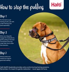 Halti OptiFit Nylon Padded No Pull Dog Headcollar, Small: 9.5 to 15.5-in neck slide 2 of 6