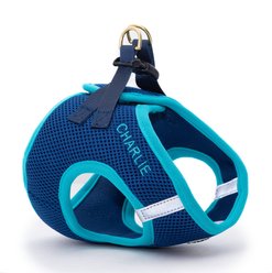 Up Country Personalized Step-In Vest Dog Harness, Navy/Aqua, XX-Large: 22 to 24-in chest
