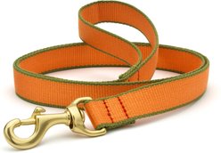 Up Country Color Market Lead Dog Leash with D-Ring, Tangerine/Pine, 5-ft long, 1-in wide
