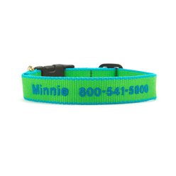 Up Country Color Market Personalized Dog Collar, Lime/Aqua, Small: 9 to 15-in neck, 5/8-in wide slide 1 of 5