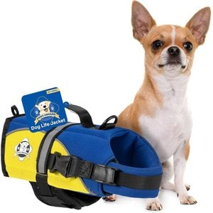 RUFFWEAR Swamp Cooler Zip Dog Vest, Blue Mist, X-Small - Chewy.com