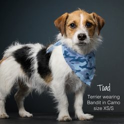 Pet Passion Black Sand Dog Bandana, Black Sand, Large, 3 count slide 2 of 6
