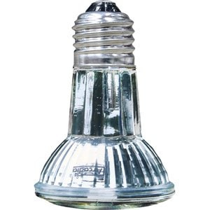 Arcadia Reptile GoldenSun Reptile Halogen Heat Lamp, 50-watt, 1 count