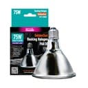 Arcadia Reptile GoldenSun Reptile Halogen Heat Lamp, 75-watt, 1 count