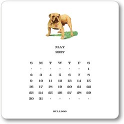 Maison de Papier Dog 2027 Calendar slide 2 of 8