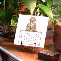 Maison de Papier Mary Lake Thompson Dog 2027 Calendar slide 2 of 8