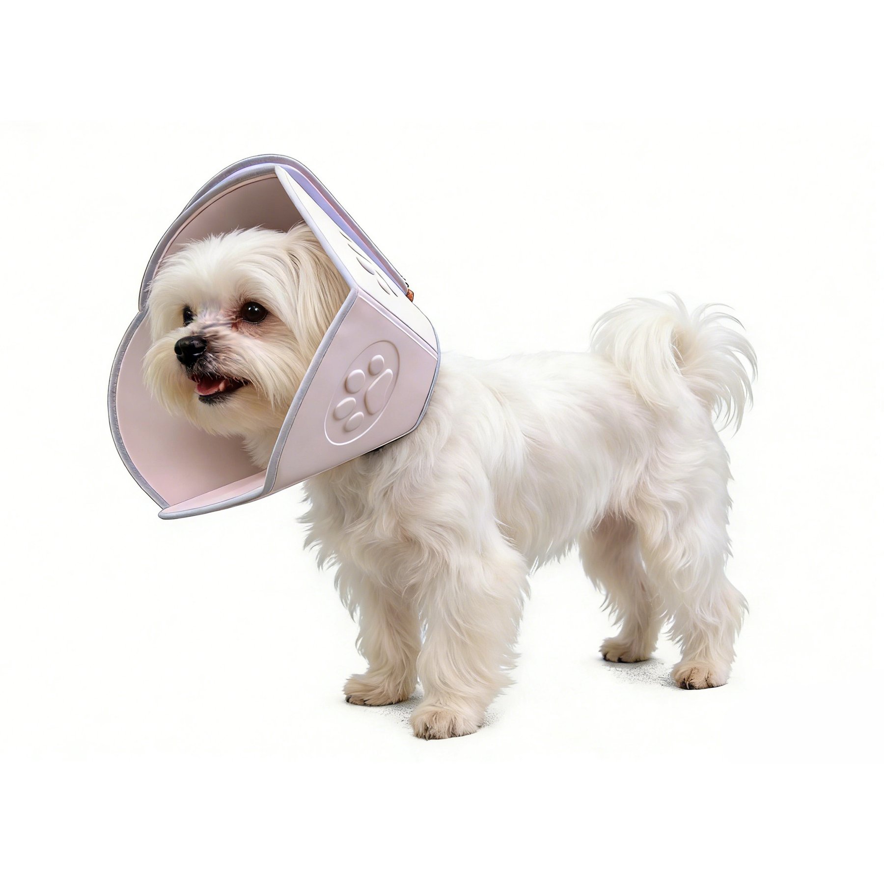 WZ PET Ultra-light Soft Foldable Dog & Cat Recovery Cone Collar, Small: 9.4 to 11.5-in neck, 5.9-in depth
