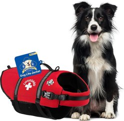 Paws Aboard Lifeguard Neoprene Dog Life Jacket, Medium