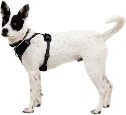Ruffwear Front Range Flex Dog Harness, Basalt Gray, Medium: 27 to 32-in chest slide 2 of 7