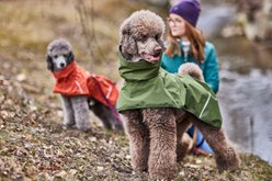 Hurtta Mudventure Coat ECO Dog Raincoat, Eggplant, 16-in slide 2 of 6