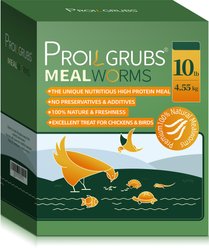 PROILGRUBS Dried Mealworms GMO-Free Dry Food Bulk Chicken & Birds Treats, 10-lb box
