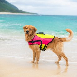 Body Glove Ripstop Reflective Dog Life Jacket, Pink/Yellow, Large slide 2 of 9