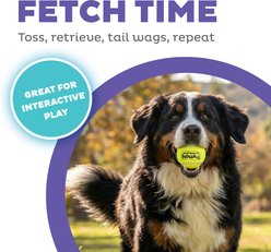 Outward Hound FlyFetch Launch-A-Ball Dog Toy, Blue, Medium slide 2 of 6
