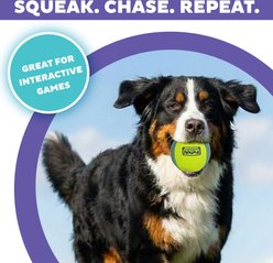 Outward Hound FlyFetch Squeak Ball Dog Toy, Large slide 2 of 6
