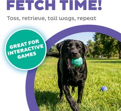 Outward Hound FlyFetch Rubber Ballz Dog Toys, Medium, 2 count slide 2 of 6