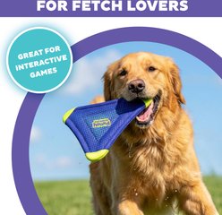 Outward Hound FlyFetch Tough Flyer Dog Toy, Purple, Medium slide 2 of 6