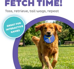 Outward Hound FlyFetch Disc Launcher Dog Toy, Blue, Medium slide 2 of 6