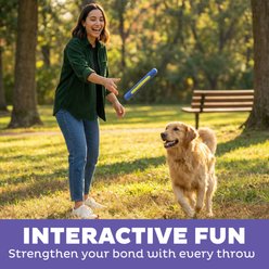 Outward Hound FlyFetch Stick Launcher Dog Toy, Purple slide 2 of 6