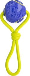 Outward Hound FlyFetch Tug Ball Dog Toy, Purple, Medium