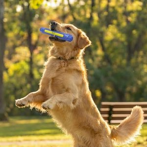 Outward Hound FlyFetch Stick Launcher Dog Toy, Purple