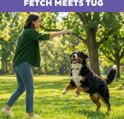 Outward Hound FlyFetch Fetch & Tug Dog Toy, Purple, Medium slide 2 of 6