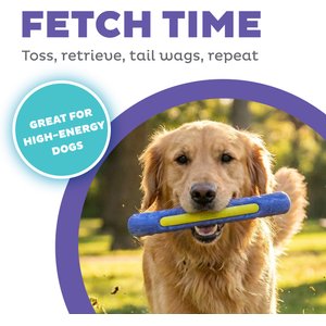 Outward Hound FlyFetch Stick Launcher Dog Toy, Purple