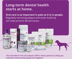 VETRADENT Veggie Small Adult Dog Dental Chew Treats, 30 count slide 2 of 7